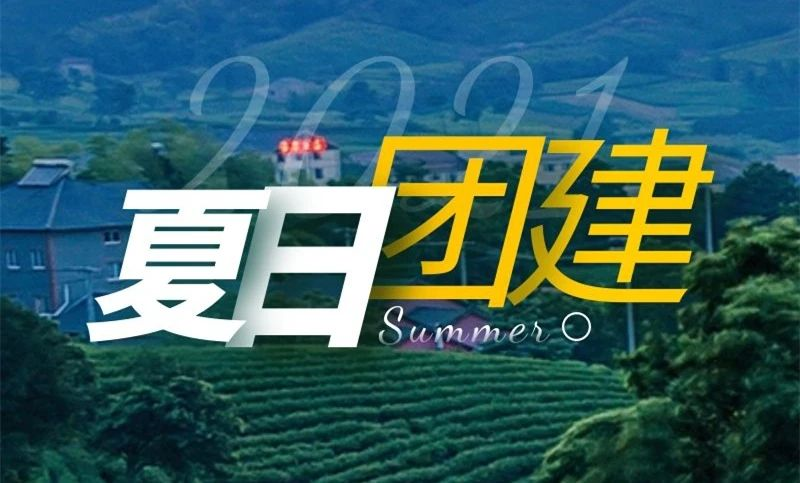 极致科技团建